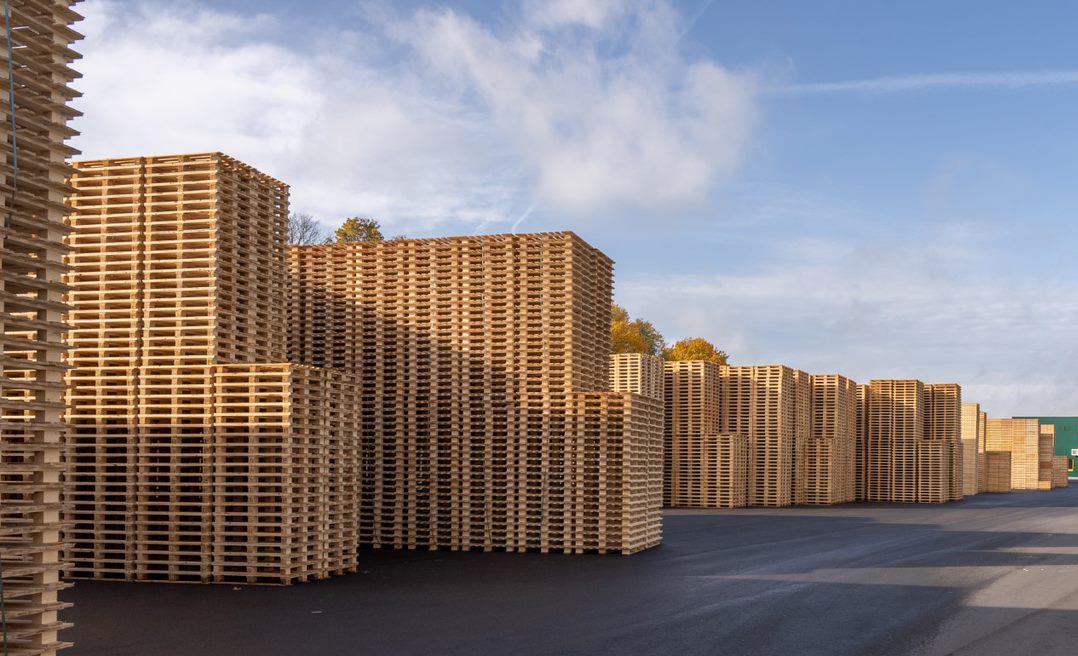 De specialist voor pallets